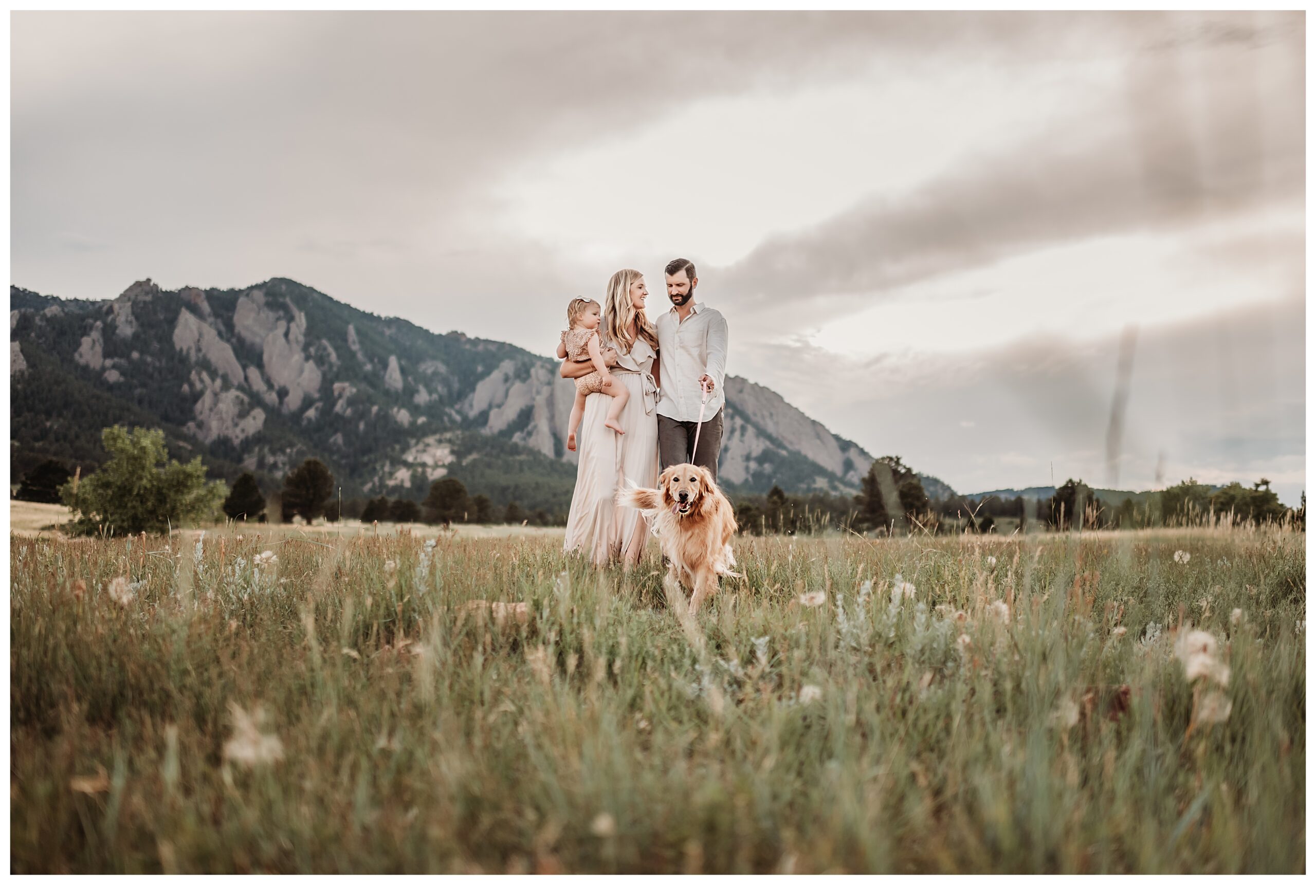 family of three plus a golden retriever walking through field in boulder co